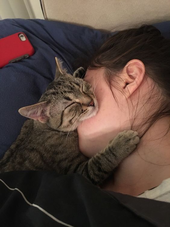 files/cat_mom.jpg